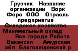 Грузчик › Название организации ­ Ворк Форс, ООО › Отрасль предприятия ­ Складское хозяйство › Минимальный оклад ­ 23 000 - Все города Работа » Вакансии   . Амурская обл.,Благовещенский р-н